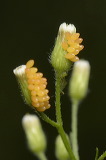 2025_1519
