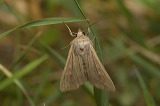 2025_1347
